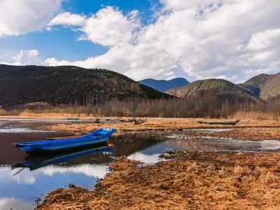 كاسيوايف كازينو تطبيق الهاتف المحمول